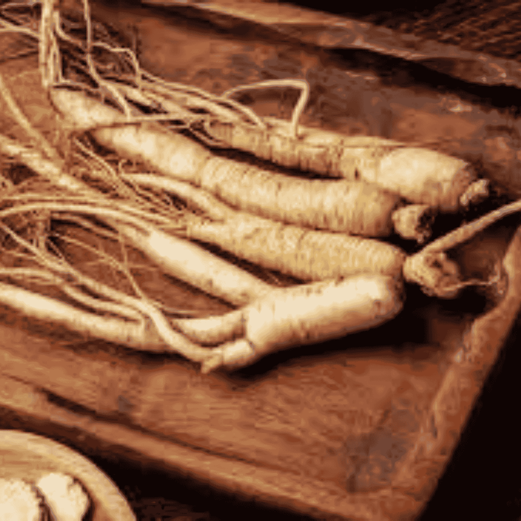 panax ginseng